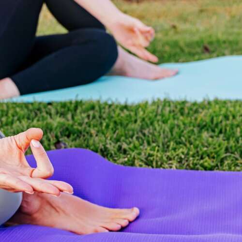 Organise Personal Health Programs